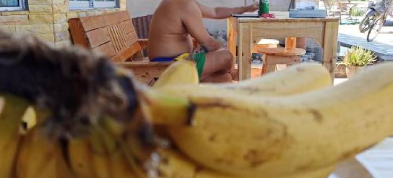 Daoh's Rooms & Scooters图片