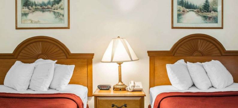 罗切斯特南宜必思酒店(Quality Inn Rochester South)图片