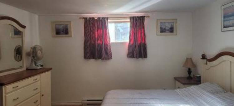 L ' Arlequin,Suite et Logement图片