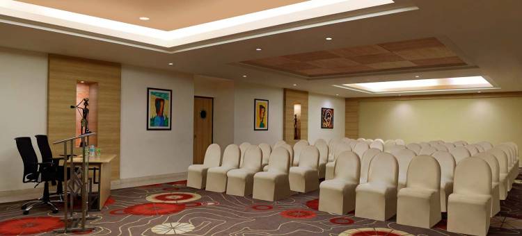 德里机场 Lemon Tree 酒店(Lemon Tree Hotel, Delhi Airport)图片