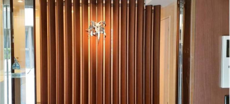 布里里奥酒店浅草桥(Hotel Brillio Asakusabashi)图片