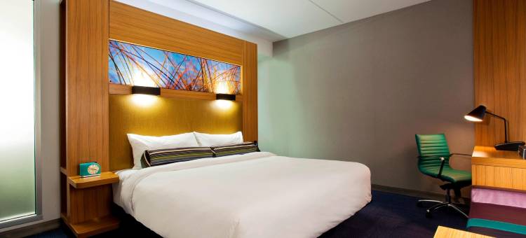 杰克逊维尔挂毯公园雅乐轩酒店(Aloft Jacksonville Tapestry Park)图片