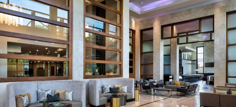 温德姆 亚特兰大 巴克海德酒店及会议中心(Wyndham Atlanta Buckhead Hotel & Conference Center)图片