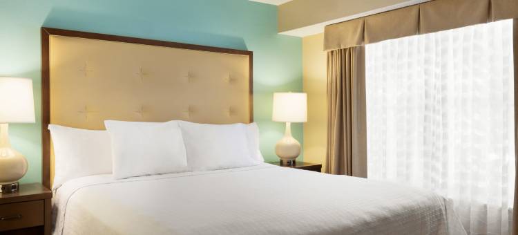 休斯顿威斯切斯Homewood Suites by Hilton(Homewood Suites by Hilton Houston - Westchase)图片