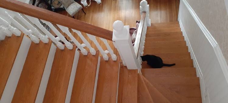 Victorian Spa EnSuite @ Nottingham PL, King Bed, Jacuzzi Near UVa-Wise & Main St图片