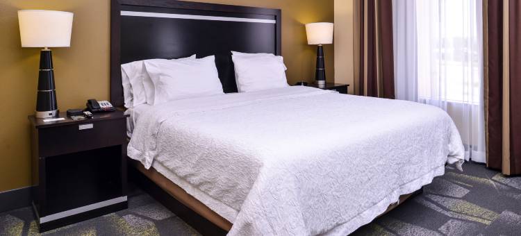 希尔顿欢朋套房酒店-大斯普林(Hampton Inn & Suites Big Spring)图片