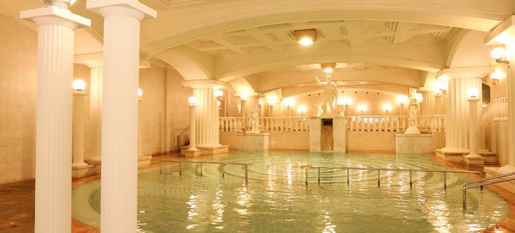 大野屋酒店(Hotel Oonoya)图片