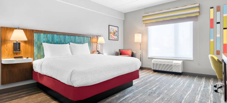 Hampton Inn & Suites芝加哥医学区UIC(Hampton Inn & Suites by Hilton Chicago Medical District UIC)图片