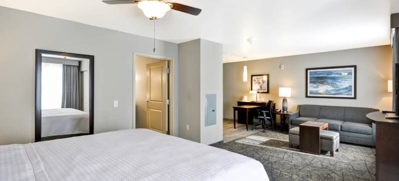 Homewood Suites by Hilton-凤凰城坦佩ASU区(Hws Phoenix Tempe ASU Area)图片