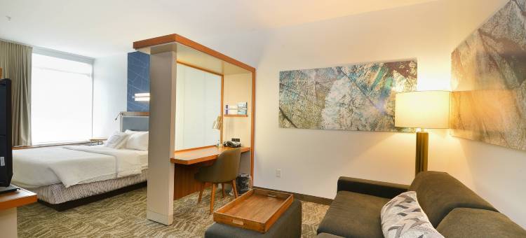 大福克斯万豪SpringHill酒店(SpringHill Suites Grand Forks)图片