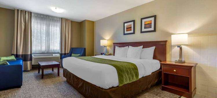 肯纳威克里奇兰舒适酒店(Comfort Inn Kennewick Richland)图片