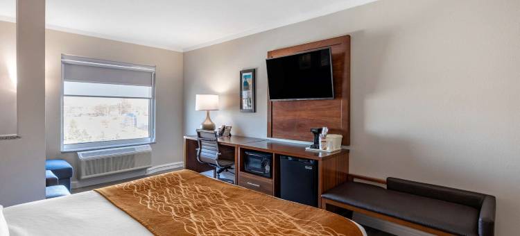 圣路易斯舒适套房酒店-日落山(Comfort Suites St. Louis - Sunset Hills)图片