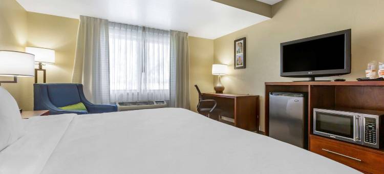 凤凰城北/鹿谷舒适套房酒店(Comfort Inn & Suites Phoenix North - Deer Valley)图片