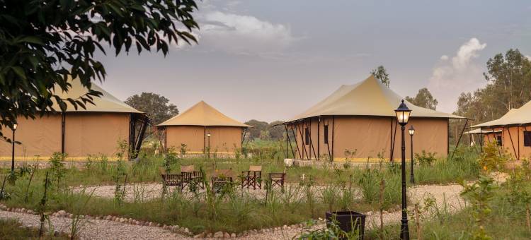 Aalia丛林班达再次(Aalia Jungle Retreat and Spa, Bandarjudh, Haridwar - Araiya Anthology)图片