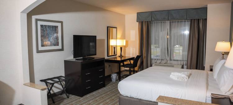 温德姆花园 伊利(Wyndham Garden Erie)图片