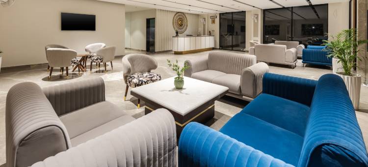 巴夫纳草坪酒店(Hotel Bafna Lawn)图片