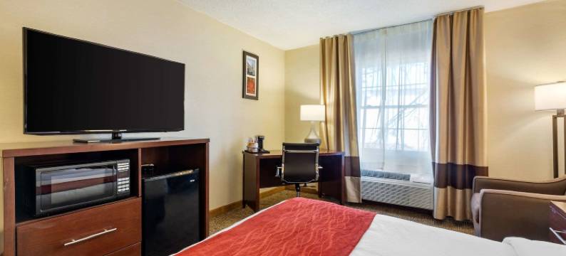 奥本-伍斯特舒适酒店(Comfort Inn Auburn-Worcester)图片