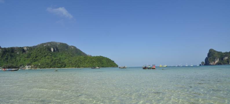 弗佛双棕榈小屋酒店(Phi Phi Twin Palms Bungalow)图片