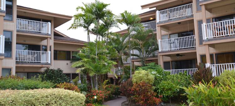 海洋村(Sea Village)图片