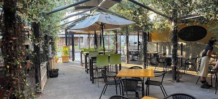 奥罗拉爱丽丝春天酒店(Stay at Alice Springs Hotel)图片