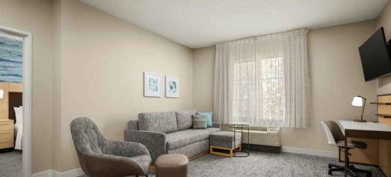 圣地亚哥卡尔斯巴德／维斯塔万豪TownePlace酒店(TownePlace Suites San Diego Carlsbad/Vista)图片