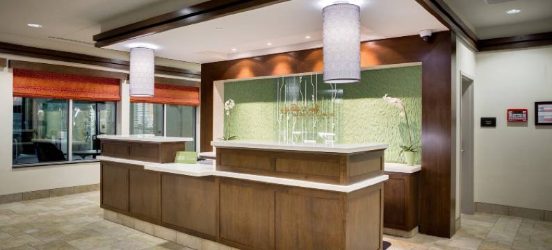 北休斯敦斯普林希尔顿花园酒店(Hilton Garden Inn North Houston/Spring)图片
