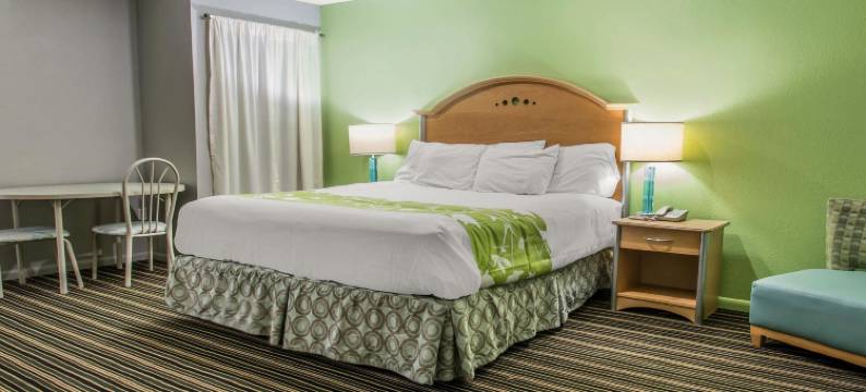 温特黑文湖泊群罗德威套房旅馆(Rodeway Inn & Suites Winter Haven Chain of Lakes)图片