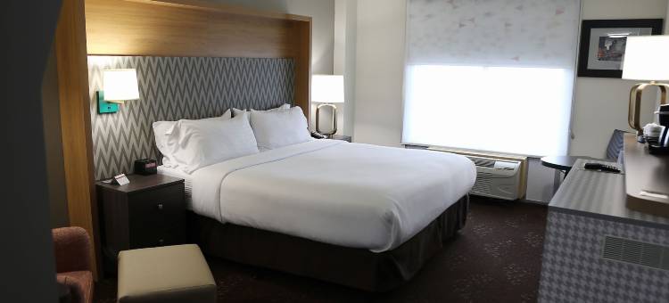 芝加哥奥黑尔区假日酒店(Holiday Inn Chicago O'Hare Area)图片