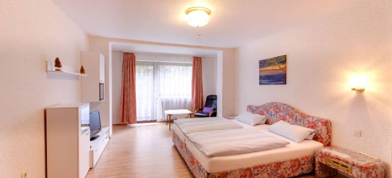 布鲁彻斯赫酒店(Hotel Pension Blüchersruh)图片