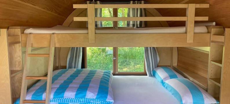 蝴蝶之家(Haus der Schmetterlinge)图片