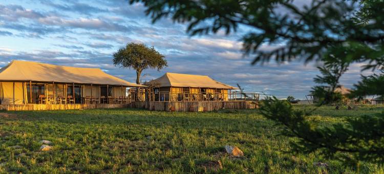 Malaika豪华营地 Seronera Serengeti(Malaika Luxury Camp Seronera Serengeti)图片