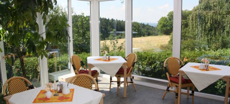 哈斯莱西登斯酒店(Hotel Harzresidenz)图片