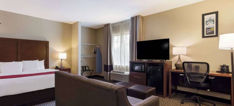北莫比尔舒适套房酒店(Comfort Suites North Mobile)图片