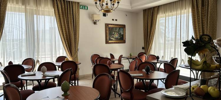 德安杰洛皇宫酒店(D'Angelo Palace Hotel)图片