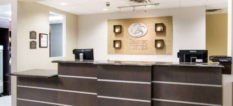 圣安吉洛舒适套房酒店-近大学(Comfort Suites San Angelo Near University)图片