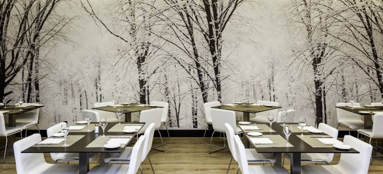 马德里伊鲁尼套房酒店(Ilunion Suites Madrid)图片