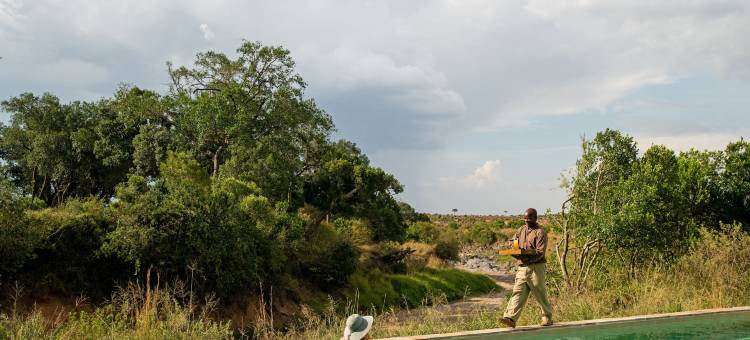艾勒瓦纳沙河马赛伊马拉酒店(Elewana Sand River Masai Mara)图片