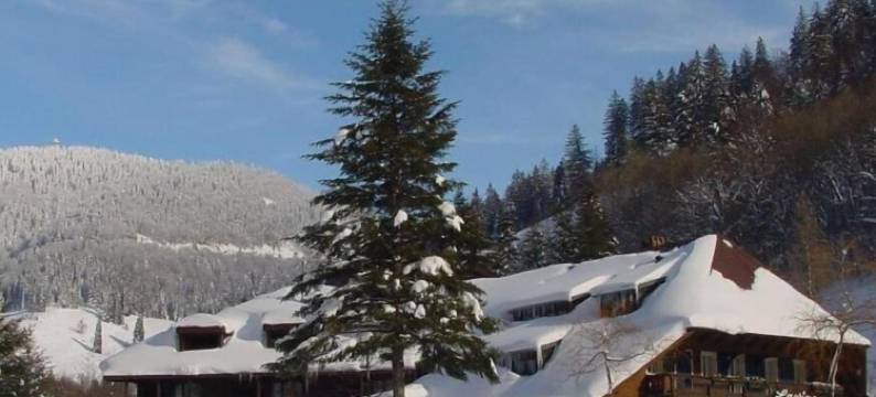 拉维纳酒店(Hotel Lawine)图片