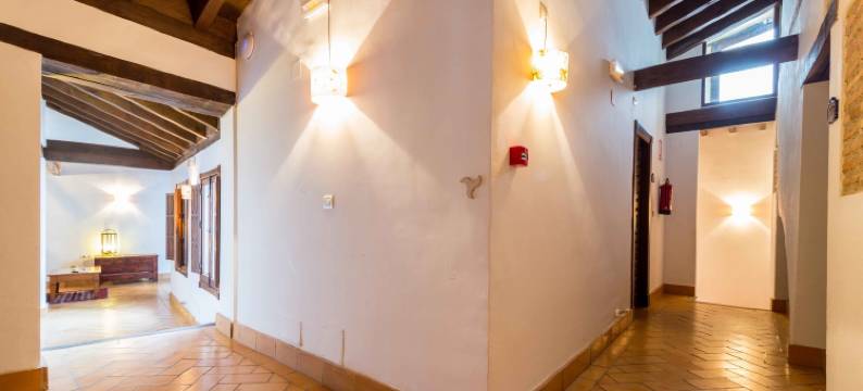 卡萨德卡皮特那萨利酒店(Casa del Capitel Nazarí)图片