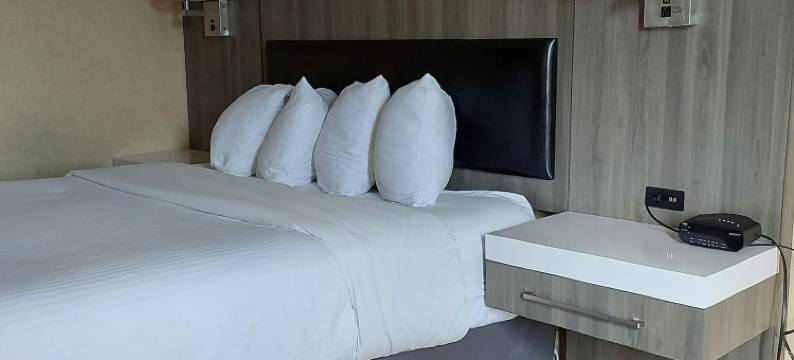 拉维什套房旅馆(Lavissh Inn and Suites)图片