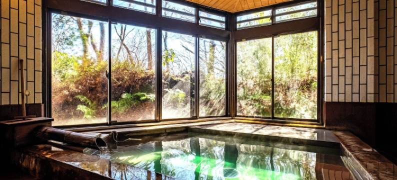 箱根强罗佳山水温泉酒店(Hakone Gora Onsen Hotel Kasansui)图片