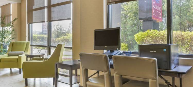 哥伦比亚东北-杰克逊堡舒适套房酒店(Comfort Suites Columbia Northeast - Fort Jackson)图片
