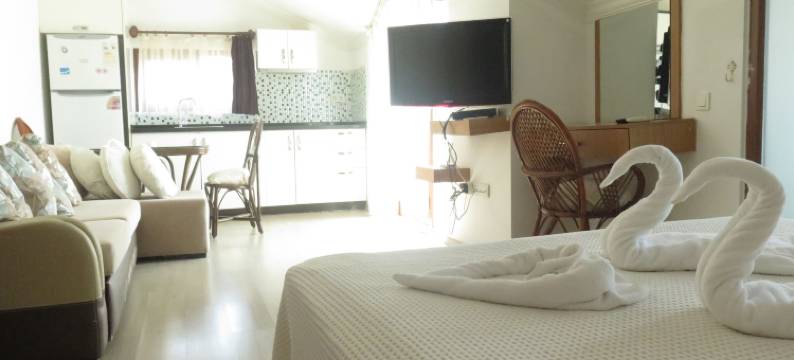 莉迪亚市酒店(Lidya City Hotel)图片