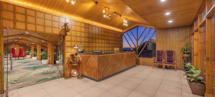 西姆拉雪谷度假酒店(Snow Valley Resorts Shimla)图片