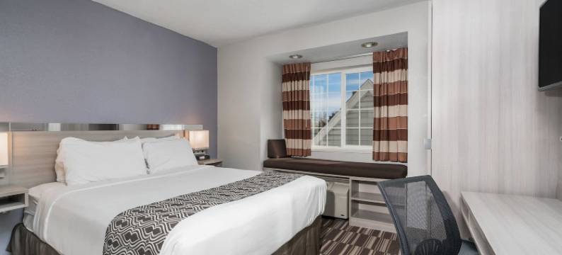 罗切斯特北梅奥诊所麦客达温德姆酒店(Microtel Inn & Suites by Wyndham Rochester North Mayo Clinic)图片