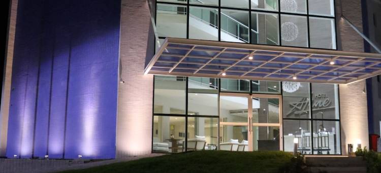 布里斯托艾琳酒店(Bristol Aline)图片