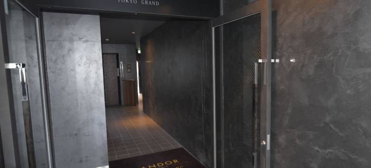 东京兰朵大公寓(Randor Residence Tokyo Grand)图片