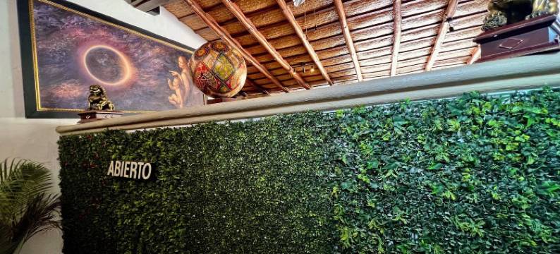 湖滨庄园精品酒店(Hacienda del Lago Boutique Hotel)图片