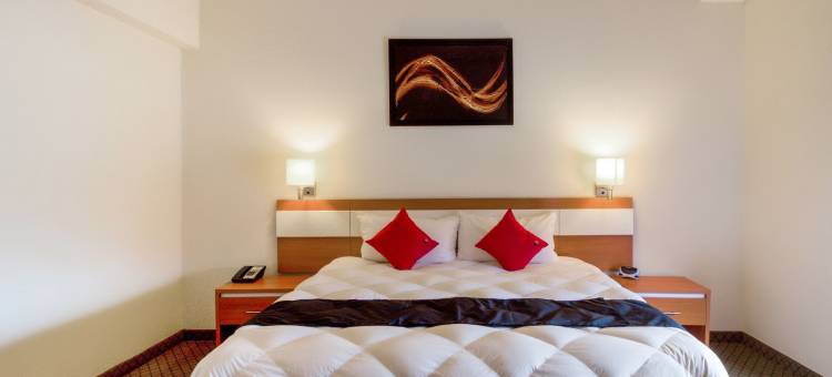 Los Herederos 酒店内格拉斯(Los Herederos Hotel Piedras Negras)图片