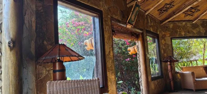 AA小屋-马赛马拉(AA Lodge Maasai Mara)图片